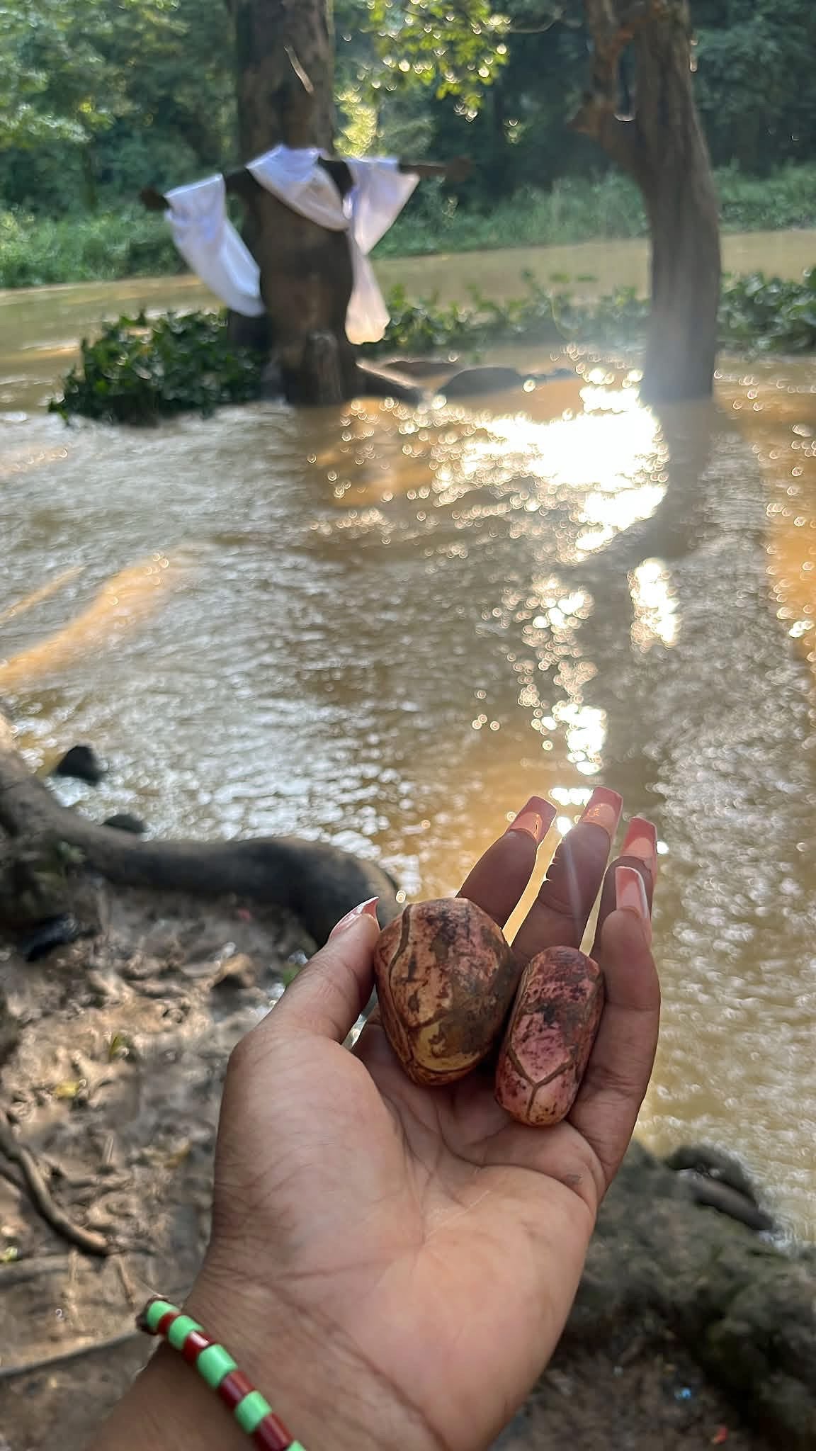 Obi Abata Orisa Offerings